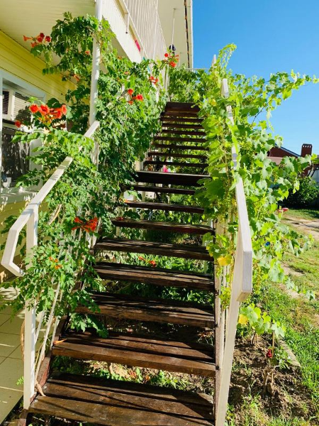 "Лидия" гостевой дом, Темрюк Фото: 17 из 36