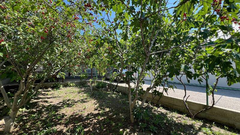 3х-комнатный дом под-ключ Школьная 13, Судак Фото: 8 из 35