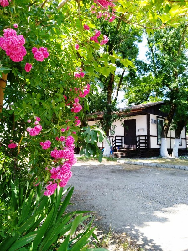 "АгроСтройМаш" база отдыха