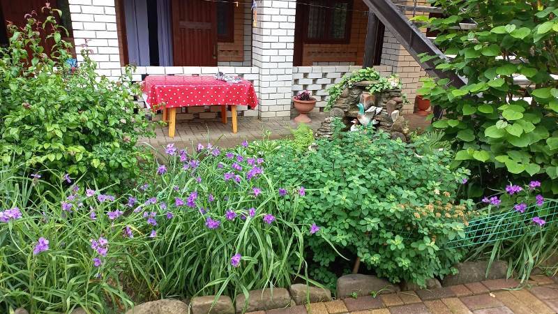 "Адель" гостевой дом, Джубга Фото: 9 из 48