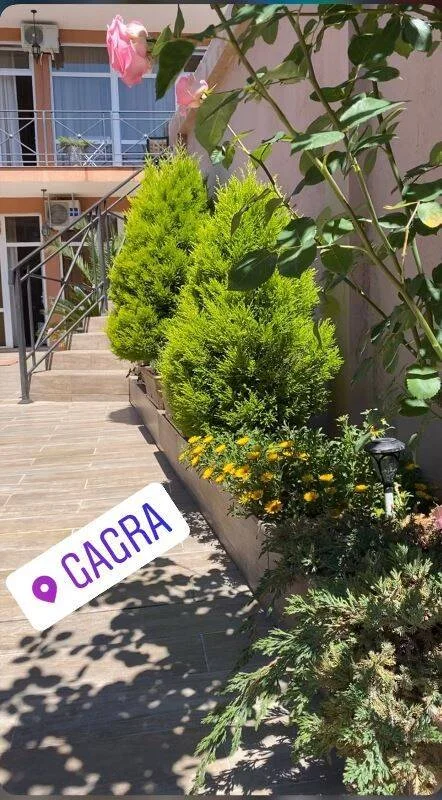 "Династия" гостевой дом, Гагра Фото: 6 из 42