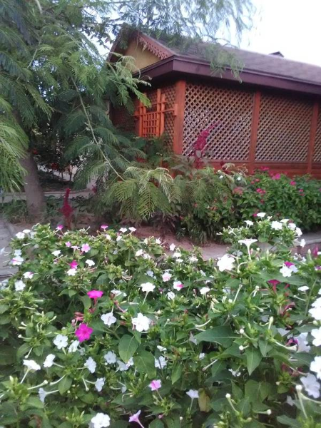 Частное домовладение ул. Рабочая, Кучугуры Фото: 7 из 31