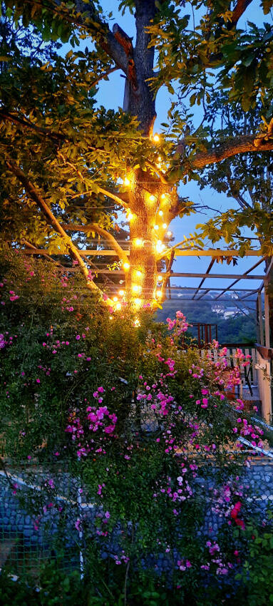 "Дубовая роща" частный сектор, Туапсе Фото: 30 из 41