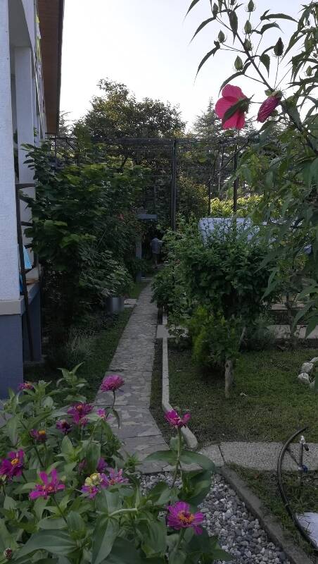 "Лаванда" мини-гостиница, Пицунда Фото: 7 из 36