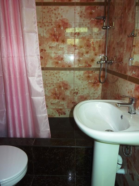 "1000 Роз у Сусанны" мини-гостиница, Сочи Фото: 51 из 52
