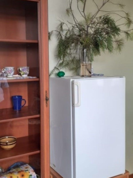 "Лесной дом" частный сектор, Ялта Фото: 51 из 51