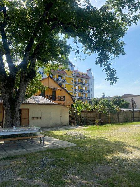 "Тис" гостевой дом, Лдзаа Фото: 7 из 40