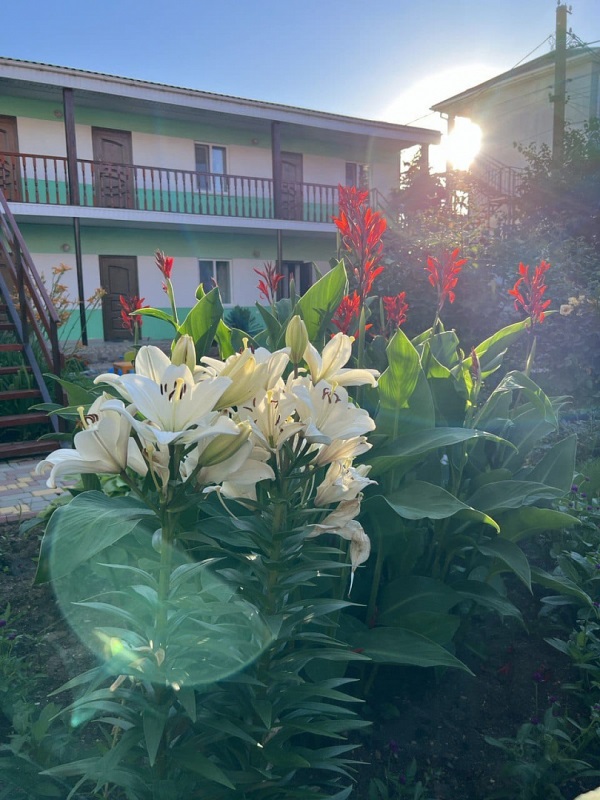 "Цветочный уют" гостевой дом