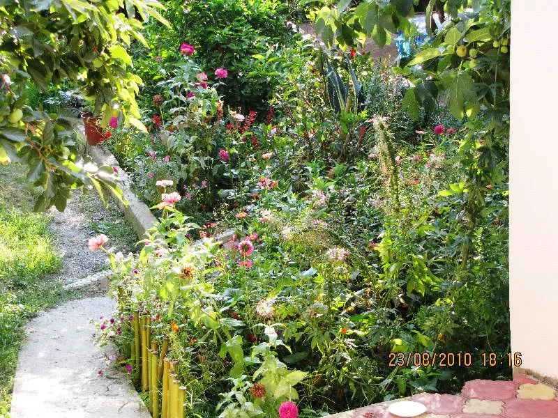 "Цветущий сад" гостевой дом, Сочи Фото: 5 из 28
