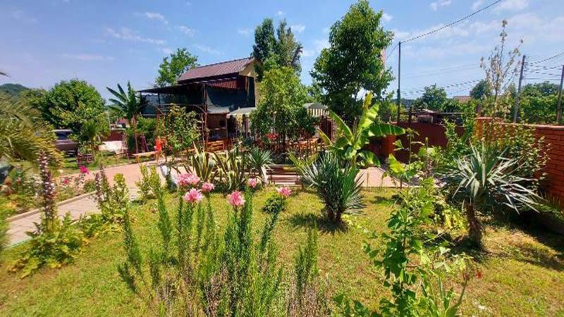 "Золотая рыбка" гостевой дом, Лдзаа Фото: 28 из 50