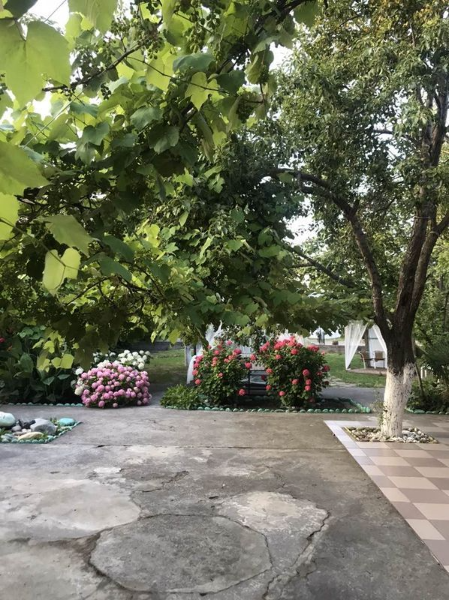 "У Тюльпанового дерева" гостевой дом, Головинка Фото: 11 из 51