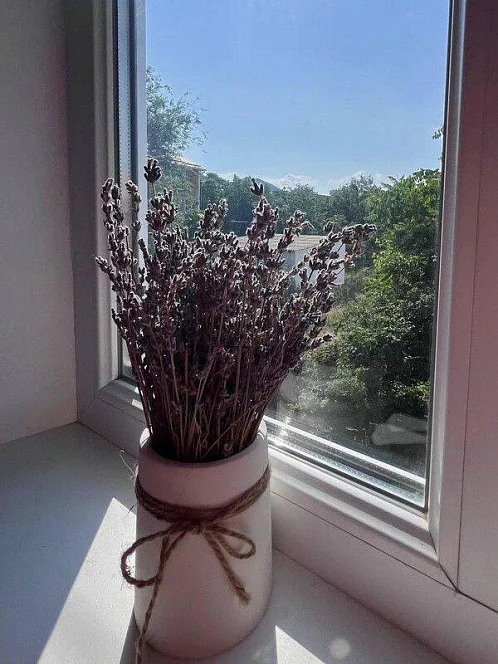 Частный сектор Мичурина 12/а, Коктебель Фото: 43 из 51