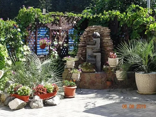 "Лукоморье" гостевой дом,  Фото: 11 из 51