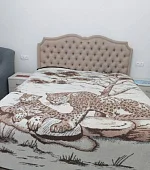 2х-комнатная квартира