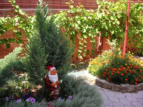 Частный сектор Владимирская 50, Анапа Фото: 5 из 17