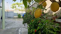 Частный сектор Калмыкова 65, Сухум
