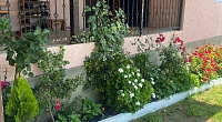 "У Ребеки" частный сектор, Новый Афон