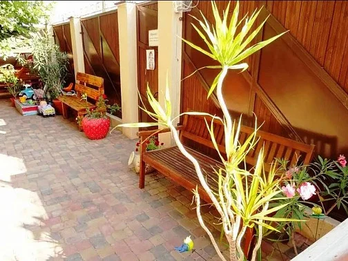 "Абрикос" гостевой дом, Кабардинка Фото: 6 из 51