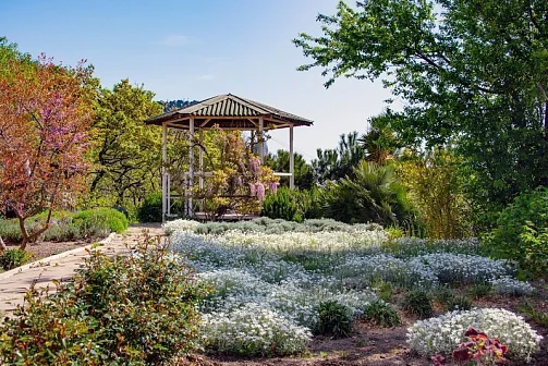 "Лесной дом" частный сектор, Ялта Фото: 6 из 51