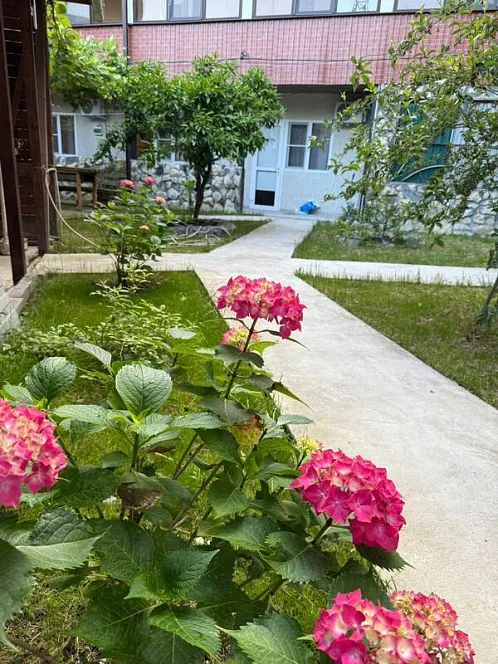 "Алхыд" гостевой дом, Пицунда Фото: 8 из 48