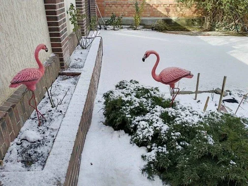 "Анжелика" этаж под-ключ, Ейск Фото: 42 из 51