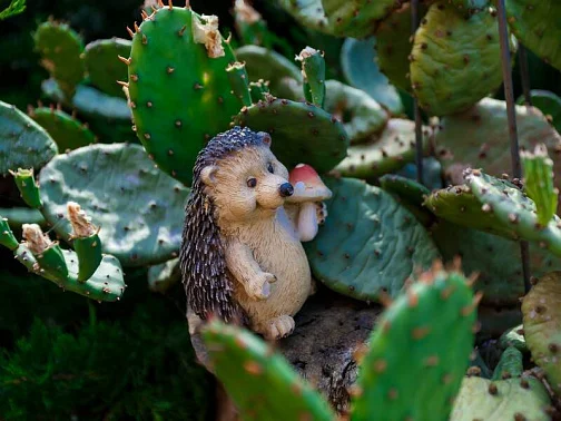 "Рада" гостевой дом, Кабардинка Фото: 6 из 46