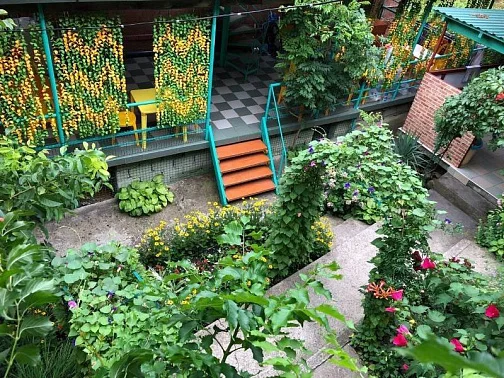 "Эдельвейс" гостевой дом, Новомихайловский Фото: 20 из 46