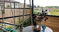 "Атыпшдза" коттеджный комплекс, Сухум
