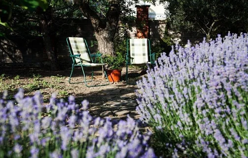 "Лесной дом" частный сектор, Ялта Фото: 9 из 51