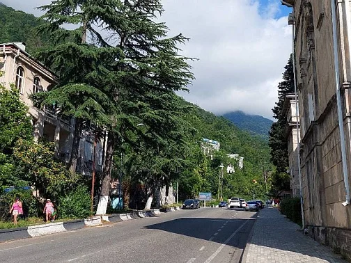 "Благо-Дарю" гостевой дом, Гагра Фото: 2 из 51