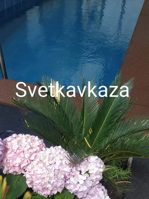 "SvetKavkaza" гостевой дом, Лазаревское Фото: 18 из 45