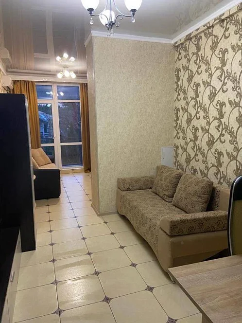 "С красивым видом на горы" квартира-студия, Геленджик Фото: 3 из 10