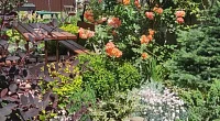 "Green House" дом под-ключ, Архипо-Осиповка