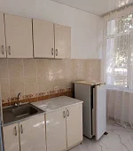 "Коттеджный корпус-апартамент (мини-кухня)"