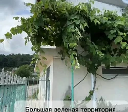 "Илюха" частный сектор