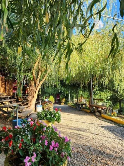 "МОРЕСОЛЬ" гостевой комплекс, Новый Афон Фото: 44 из 49