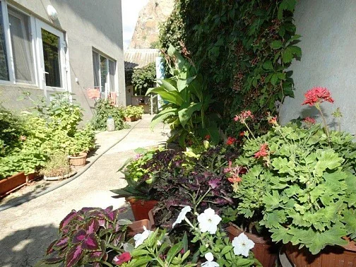 "Уют" частный сектор, Курортное Фото: 7 из 51