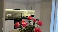 2х-комнатная квартира Курортный проспект 84, Сочи