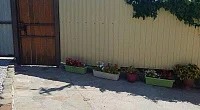 Ул. Мира, Бетта