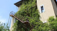 "Эльбрус" гостевой дом, Николаевка