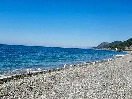 Таунхаус под-ключ Пальмовая 1/7, Головинка Фото: 31 из 32