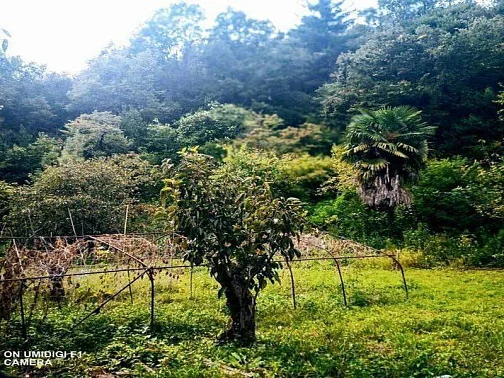 "Корвет" 2 дома под-ключ, Каткова Щель Фото: 24 из 29
