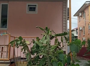 "Солнышко" частный сектор Адлер