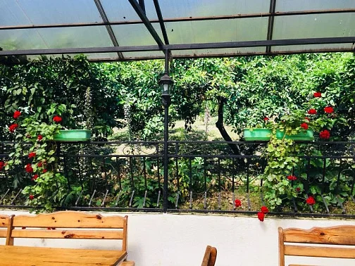 "Мандариновый сад" мини-гостиница, Гагра Фото: 18 из 46