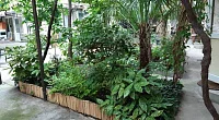 "Зеленый дворик" частный сектор, Алупка
