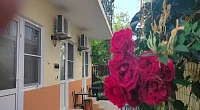 "Мила" гостевой дом, Архипо-Осиповка