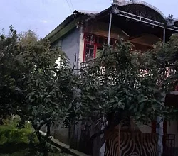 "Виола" дом под-ключ