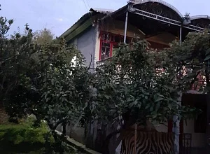 "Виола" дом  Новый Афон