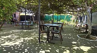"В тени киви" частный сектор, Сухум