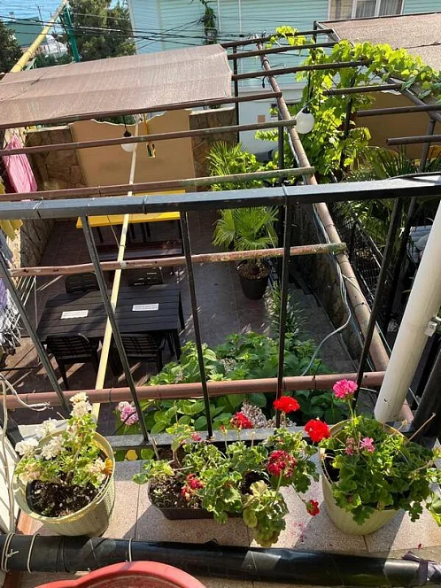 Частный сектор Сочинское шоссе 15/а, Лазаревское Фото: 5 из 29